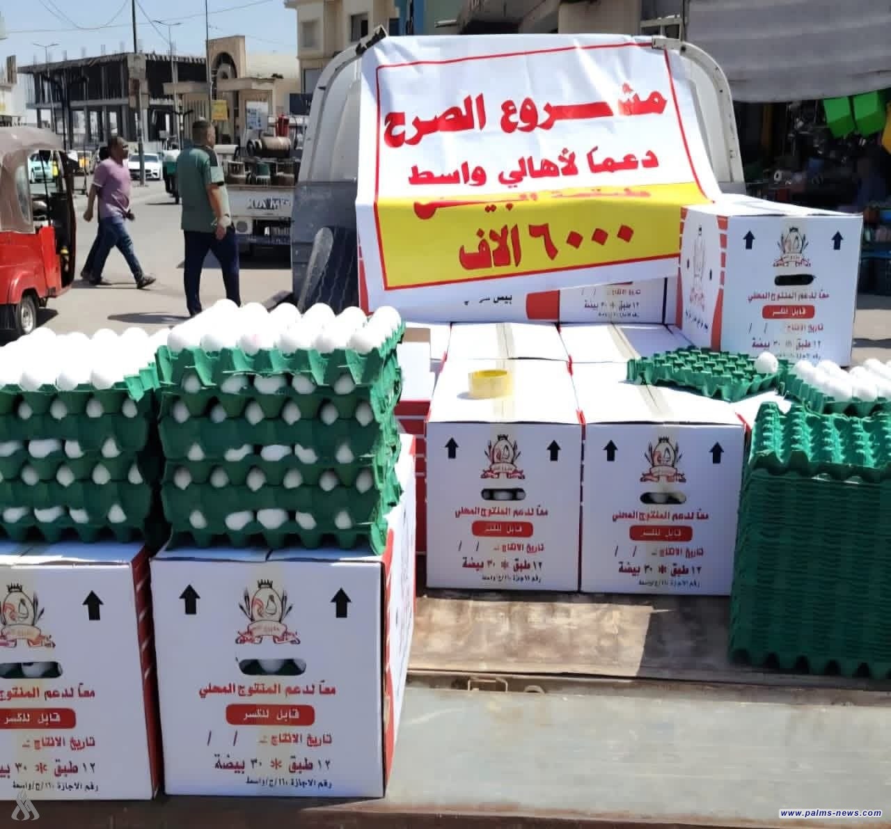 وزارة الزراعة: إنتاج البيض محلياً كافٍ ولا توجد أزمة في السوق